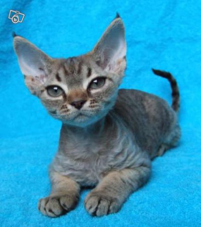 Vår fina Lovis som liten. Foto: Camilla Söderström