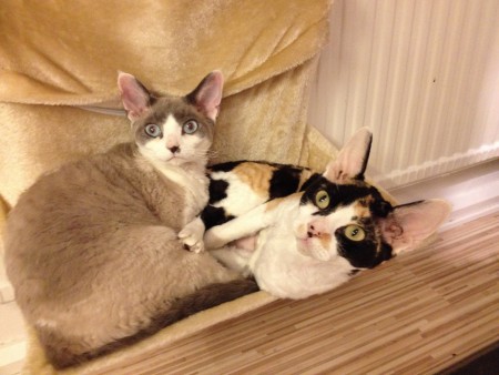 Bästa vännerna igen!